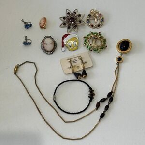 Lot of 11 Vintage Brooches‎ Pins Earrings Bracelets Necklaces Jewelry Collection